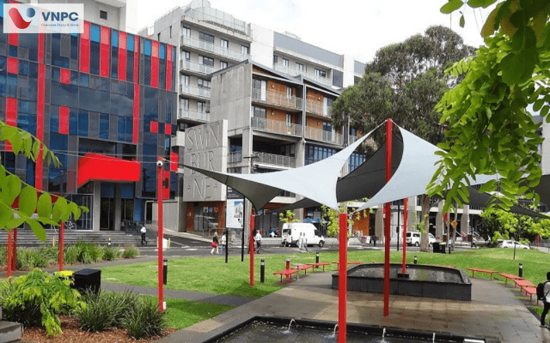 Swinburne University of Technology